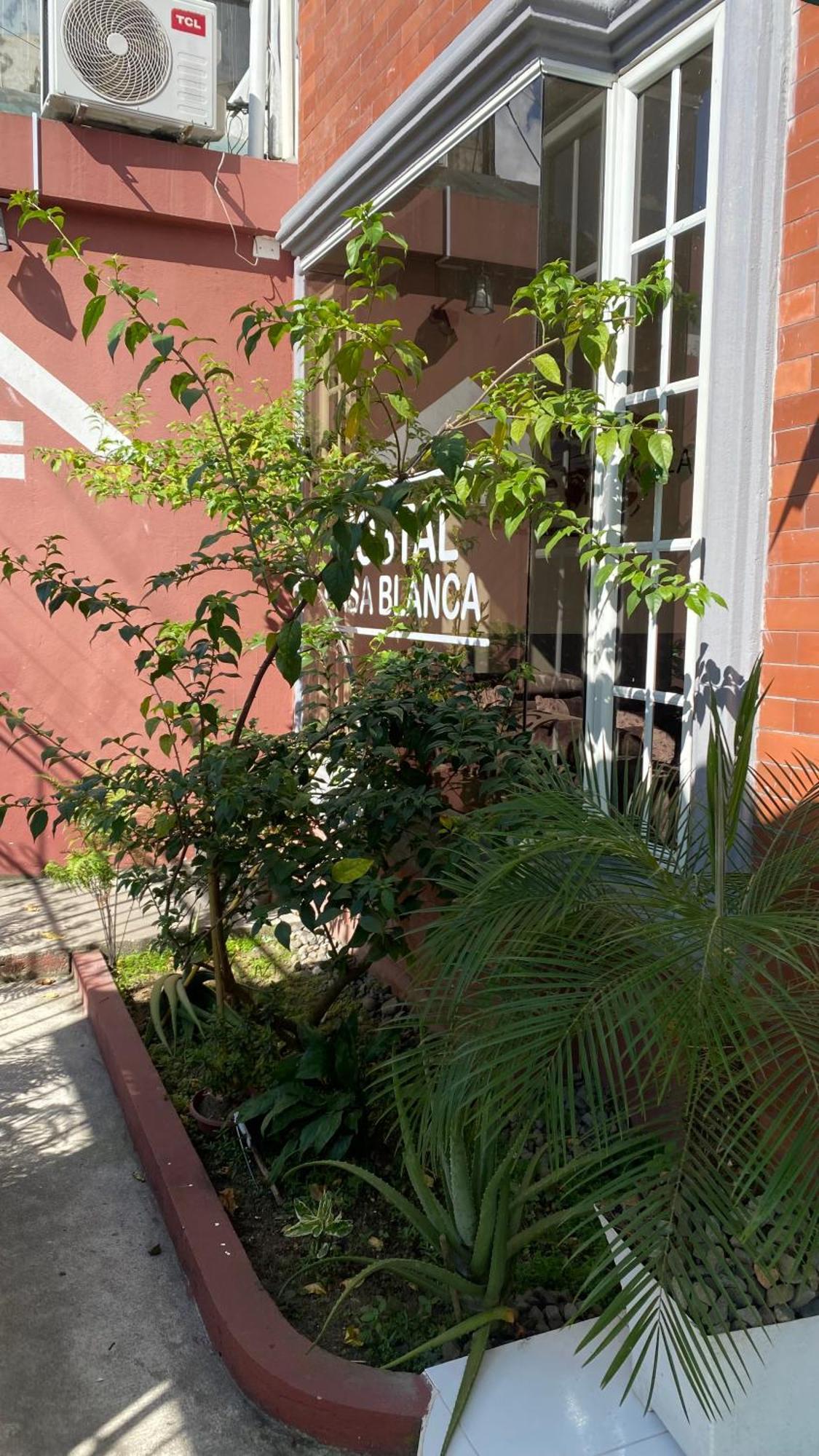 Hostal Casa Blanca Puerto Francisco de Orellana Ngoại thất bức ảnh